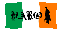 Ireland Flag Sticker - Ireland Flag Paro Stickers