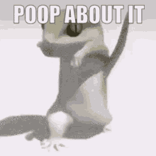 about poop