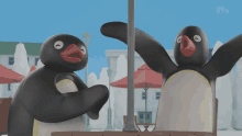 Pingu Feliz GIF - Pingu Feliz GIFs