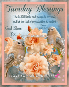 Tuesday Happy GIF - Tuesday Happy Blessings GIFs
