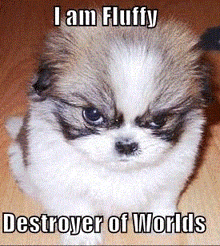 a small brown and white dog with the caption i am fluffy destroyer of world 's
