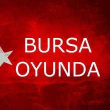 Bursaoyunda GIF - Bursaoyunda GIFs