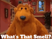 Bear Inthe Big Blue House Whats That Smell GIF - Bear Inthe Big Blue House Whats That Smell Smell GIFs