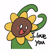 sunflower plant flower love heart
