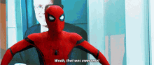 Spider Man Woah That Was Awesome GIF - Spider Man Woah That Was Awesome That Was Awesome GIFs