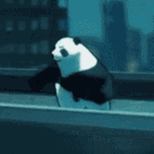 Panda Jjk GIF