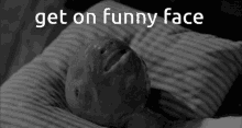 Funnyface GIF - Funnyface GIFs