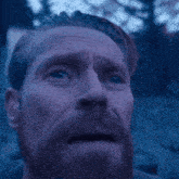 a man with a beard looks up at the sky with his eyes closed