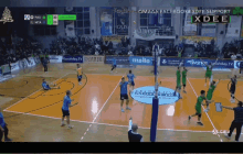 Paovolley GIF