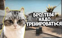 комару GIF