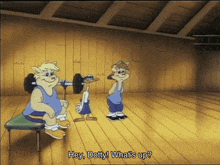 a cartoon character says hey dotty what 's up in a gym
