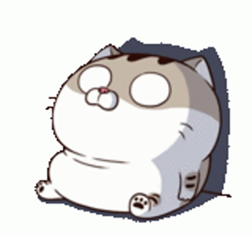 Ami Fat Cat No Sticker – Ami Fat Cat No Thats Not True – Բացահայտեք GIF