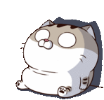 Ami Fat Cat No Sticker - Ami Fat Cat No Thats Not True Stickers