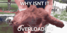 Overload GIF - Overload GIFs