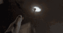 a statue of a unicorn with a light coming out of it 's horn .