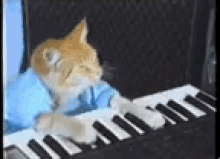 Meme Keyboard Cat GIF - Meme Keyboard Cat Play GIFs