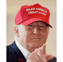 Donald Trump Stand With Trump GIF