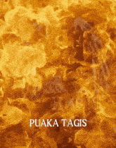 a poster with flames and the words " puaka tags "