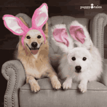 Happy Easter2022 GIF - Happy Easter2022 Easter GIFs