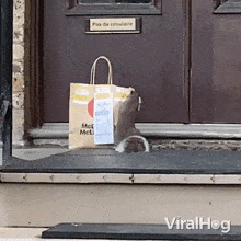 Stealing Food Squirrel GIF - Stealing Food Squirrel Viralhog GIFs