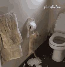 Biting The Pet Collective GIF - Biting The Pet Collective Hungry GIFs