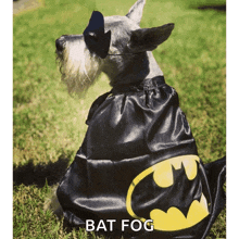 Batman Batdog GIF - Batman Batdog El Senor GIFs