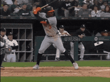 a baseball player swings at a pitch in front of a dugout with rush written on it