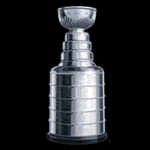 2024 Stanley Cup Final Stanley Cup GIF