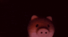 Pig Piggy GIF - Pig Piggy Yoink GIFs
