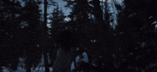 a snowy forest with trees covered in snow and smoke