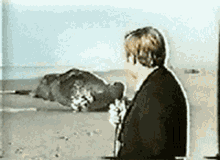 Explosion Whale GIF - Explosion Whale Reporter GIFs