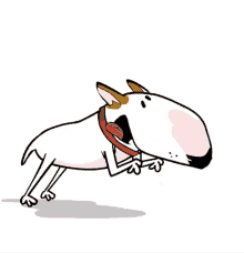 Courir Bull GIF - Courir Bull Terrier GIFs
