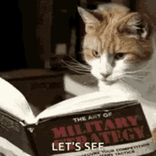 Cat Reading GIF - Cat Reading Funny Animals GIFs