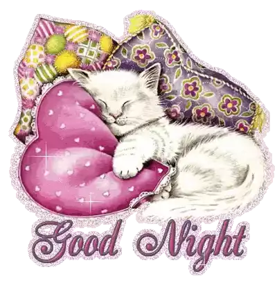 Good Night Cat Sticker - Good Night Cat Kitty Stickers