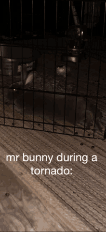 Tornado Bunny GIF - Tornado Bunny GIFs