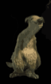 Dancing Sloth GIF