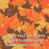a picture of leaves that says i love you my pers happy sunday and happy fall y'all