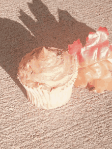 Autumn Cupcake GIF - Autumn Cupcake GIFs