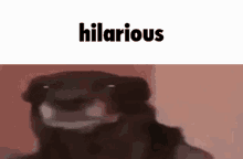 a close up of a dog wearing sunglasses and the word hilarious on a pink background .