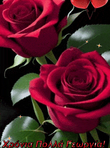 a greeting card with two red roses and the words xponia polaa fewpyia