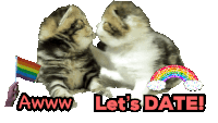 two kittens kissing with the words let 's date written below them