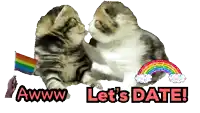 two kittens kissing with the words let 's date written below them