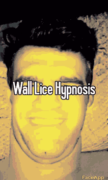 Wall Lice GIF - Wall Lice Wall Lice GIFs