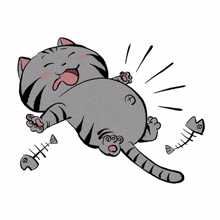 cute cat kitty gray full