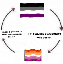 a drawing of asexual flags with the words i 'm sexually attracted to one person on the bottom