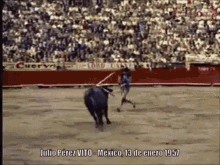 Matador Torero GIF - Matador Torero Bullfighter GIFs