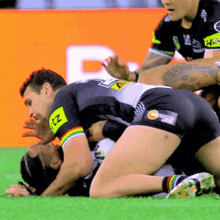 Ass Penrith GIF - Ass Penrith Panthers GIFs