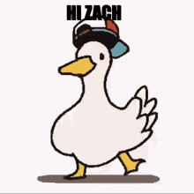 Hi Zachyzach GIF