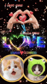 a picture of a cat and a person making a heart with their hands with the words i love you i miss you