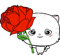 Sorry Toofio Offers A Rose Sticker
